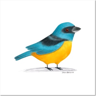 Blue and Yellow Tanager Posters and Art